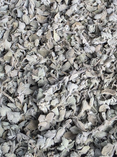 زعتر اخضر ناشف