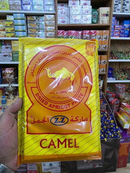 قمر دين الجمل