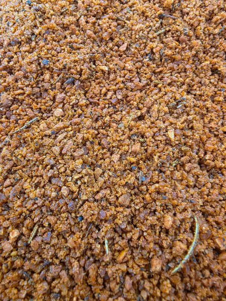 بهار توسكانا