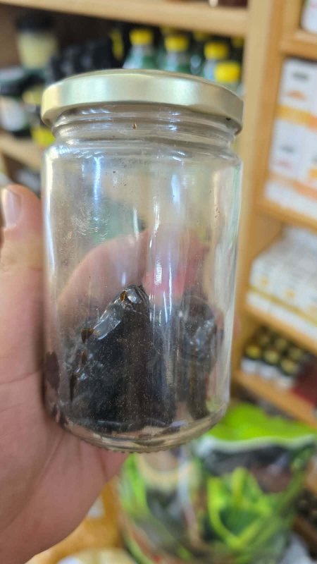 حجر شيلاجيت