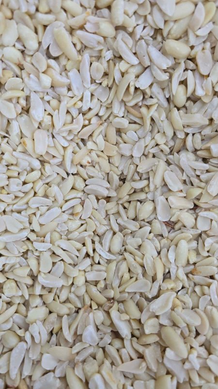 فستق عبيد مشرح