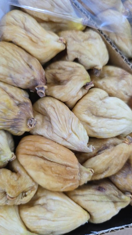 قطين (تين مجفف)